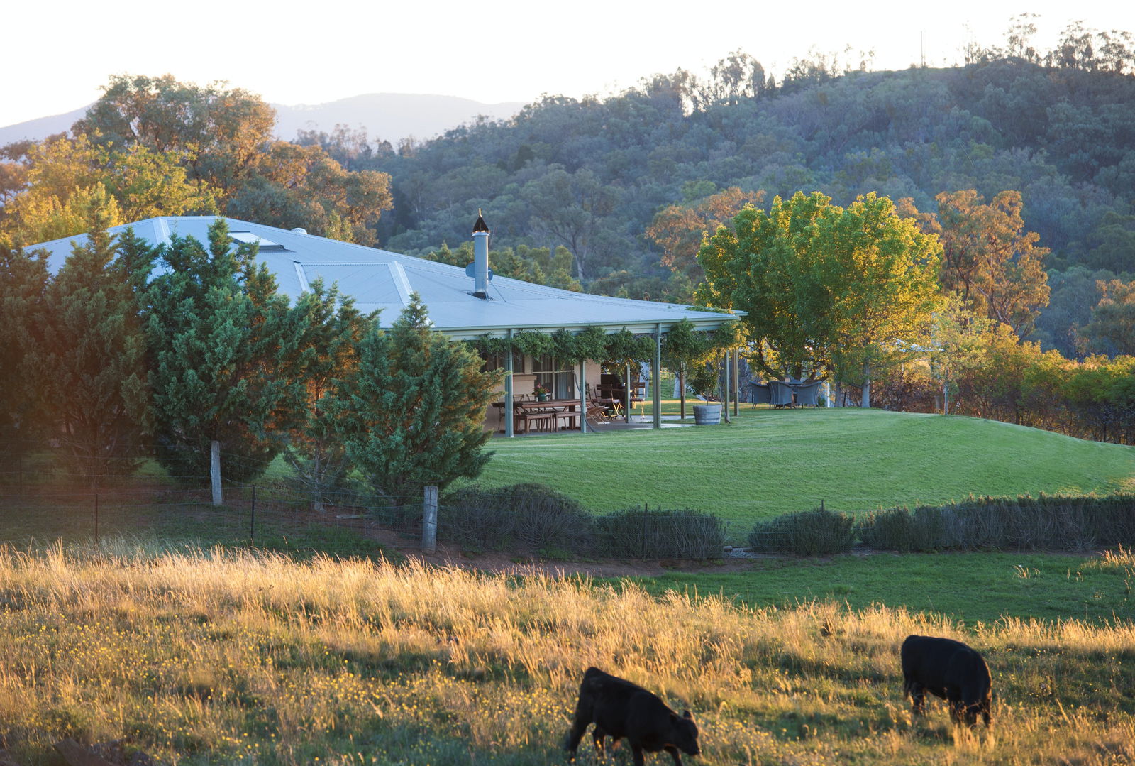 Mudgee NSW Accommodation Australia