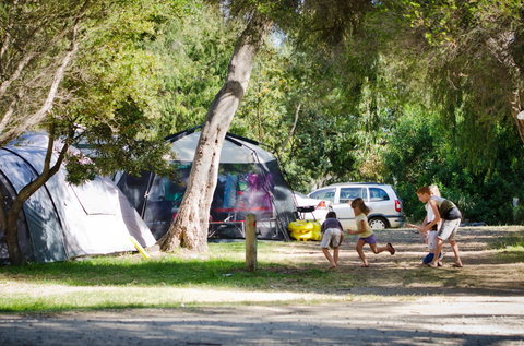 Rosebud Foreshore Camping - Accommodation Australia 2