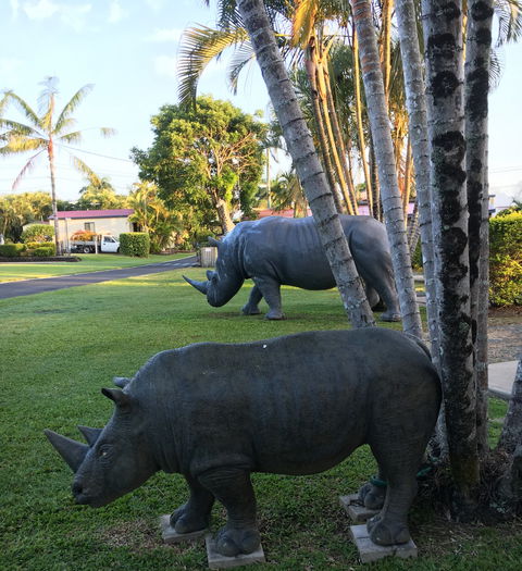 Sarina Palms Caravan Village - Local Tourism 9