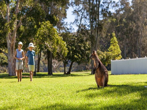 The Basin Campground - Accommodation Australia 4