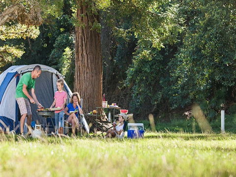 The Basin Campground - Accommodation Australia 5