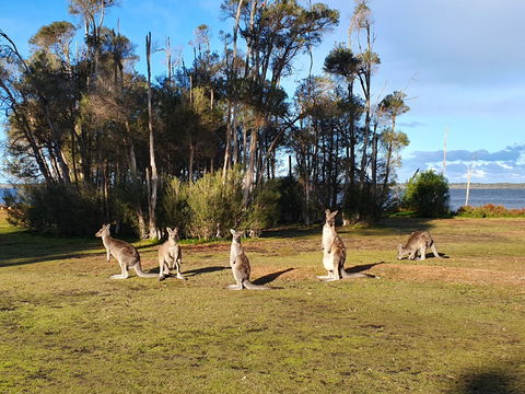 Waterfront Retreat At Wattle Point - Accommodation Australia 2