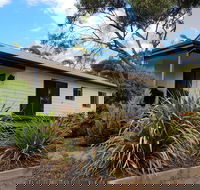 Adonis Dream - Local Tourism