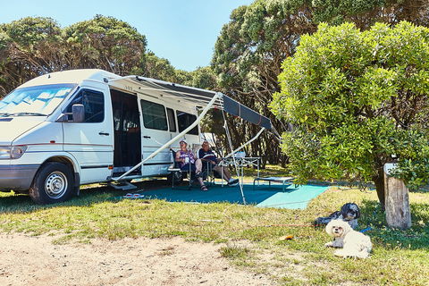 Anglesea Family Caravan Park - Local Tourism 2