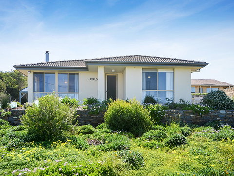 Avalon - Local Tourism 0