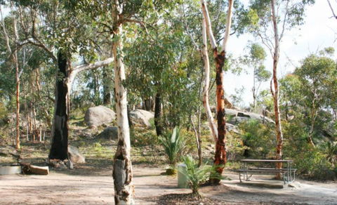 Bald Hill  Camp At Avon Valley National Park - Local Tourism 0