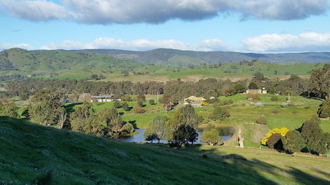 Cheviot Glen Cottages - Accommodation Australia 0
