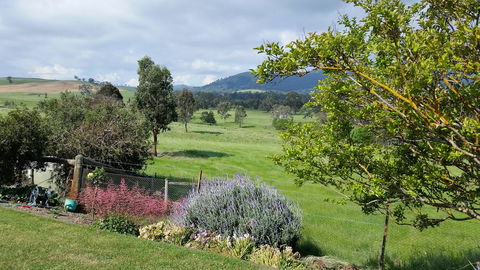 Cheviot Glen Cottages - Accommodation Australia 2