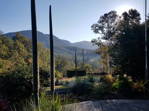 Cougal Park Bed And Breakfast - Local Tourism 1