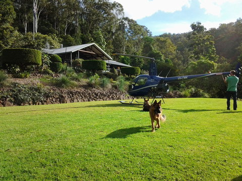 Cougal Park Bed And Breakfast - Local Tourism 2