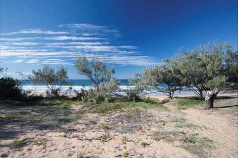 Deepwater National Park Camping - Accommodation Australia 0