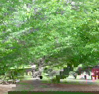Hill End Holiday Ranch - Accommodation Australia