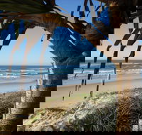 Horizons At Peregian - Local Tourism