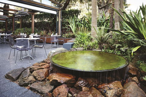 Hotel Urban St Leonards - Accommodation Australia 0