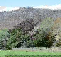 Jessica's Guest House and Vineyard - Accommodation Australia