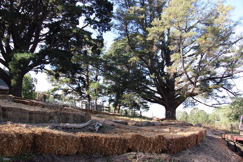 Longwood Retreat - Australia Shopping 0