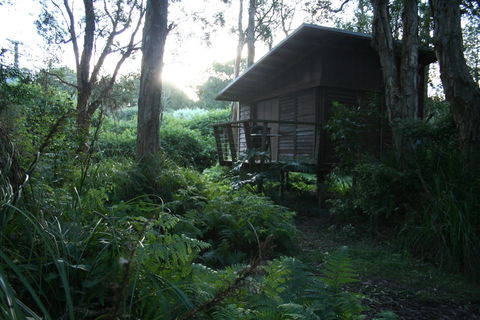 Melaleuca Surfside Backpackers - Accommodation Australia 1