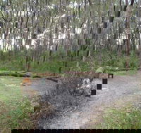 Meroo Head campground - Accommodation Australia