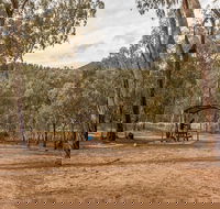 Pinch River campground - Local Tourism