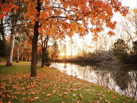 Reflections Holiday Park Cudgegong River - Temporarily Closed - Accommodation Australia 1