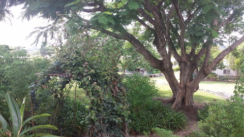 Rosehill Apartments - Australia Shopping 2