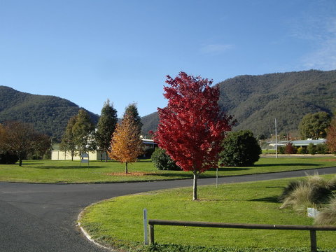 Talbingo Country Club - Bed n Breakfasts 1