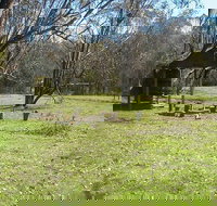 Tin Mines campground - Accommodation Australia