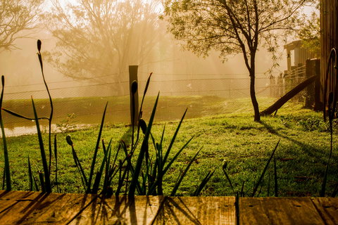 Tobruk Sydney Farm Stay - Local Tourism 1