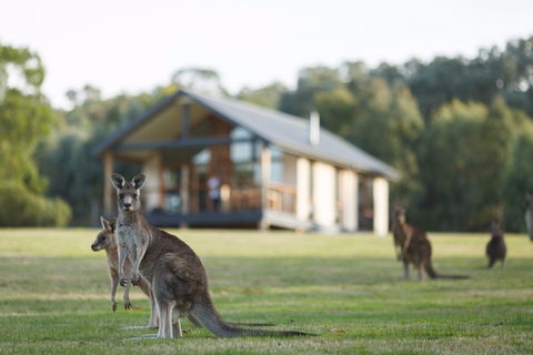 Yering Gorge Cottages - Accommodation Australia 0