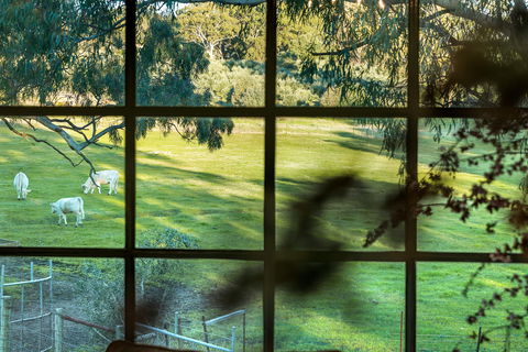 Australia Suite - Local Tourism 1