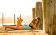 BIG4 Narooma Easts Holiday Park - thumb 1