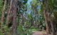 Brambles Green Campground - thumb 1