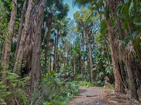 Brambles Green Campground - Accommodation Australia 1