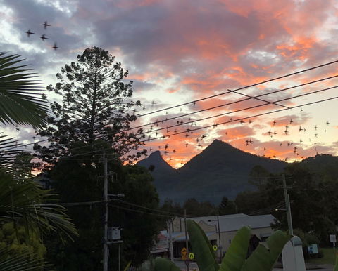Chesson Lodge- In The Heart Of Uki - Local Tourism 0