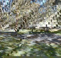 Gungarlin River campground - Local Tourism
