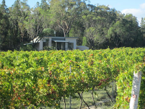 Just Red Wines Vineyard Cabins - Local Tourism 0