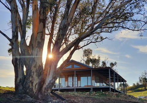 Kestrel Nest EcoHut - Local Tourism 0