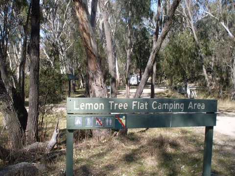 Lemon Tree Flat Campground - Local Tourism 0