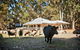 Margaret River Hideaway And Farmstay - thumb 1
