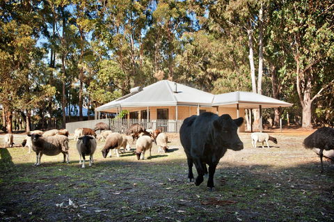 Margaret River Hideaway And Farmstay - Accommodation Australia 1