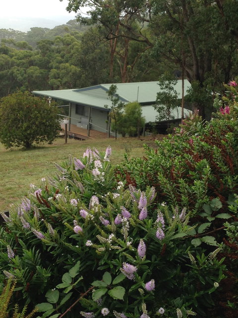 Southern Anchorage Retreat - Australia Shopping 1