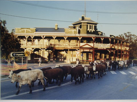 The Commercial Hotel Coonamble - Local Tourism 0