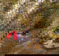 Thungutti campground