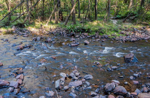 Toorooroo Campground - Accommodation Australia 0