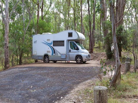 Wollomombi Campground - Local Tourism 0