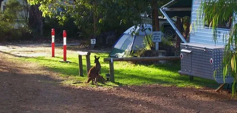 Aroundtu-It Eco Caravan Park - Accommodation Australia 5