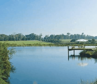 Forest Rise Eco Retreat - Accommodation Australia