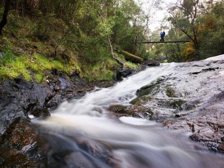 Karri Valley Resort - Accommodation Australia 2