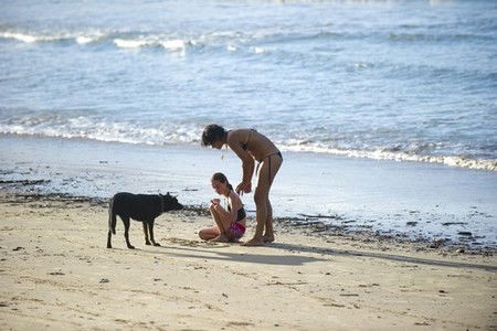 Scotts Head Holiday Park - Local Tourism 2