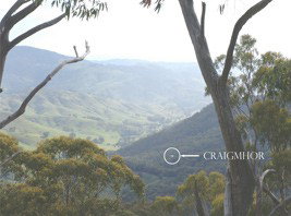 Craigmhor Mountain Retreat - Accommodation Australia 0